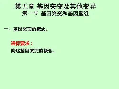 基因突变的概念 高中生物必修二教学课件PPT 人教版