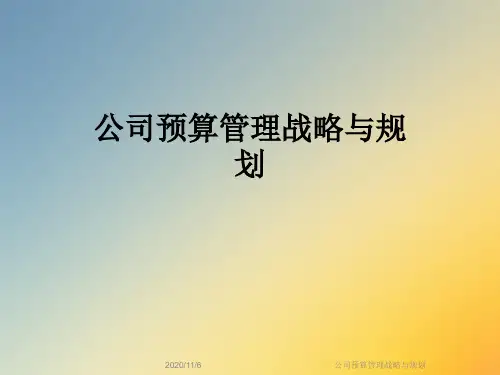 公司预算管理战略与规划