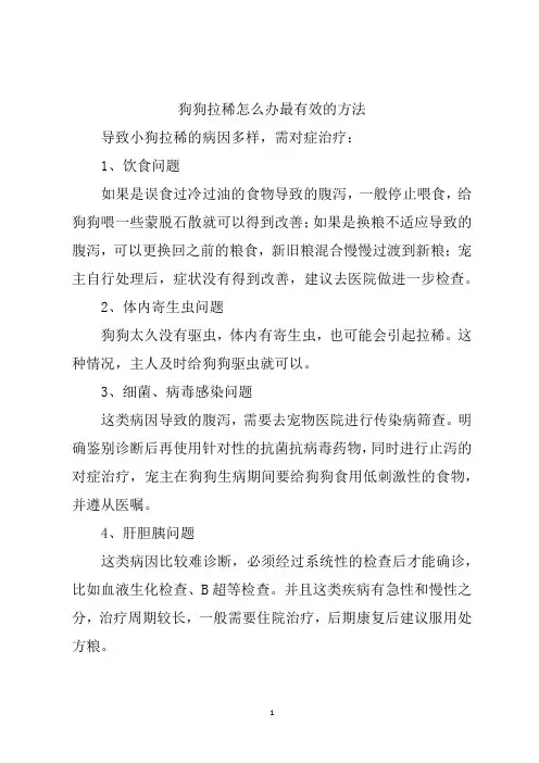 狗狗拉稀怎么办最有效的方法