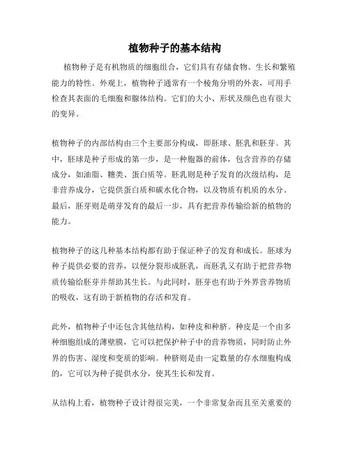 植物种子的基本结构