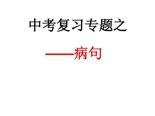 中考病句修改及成语