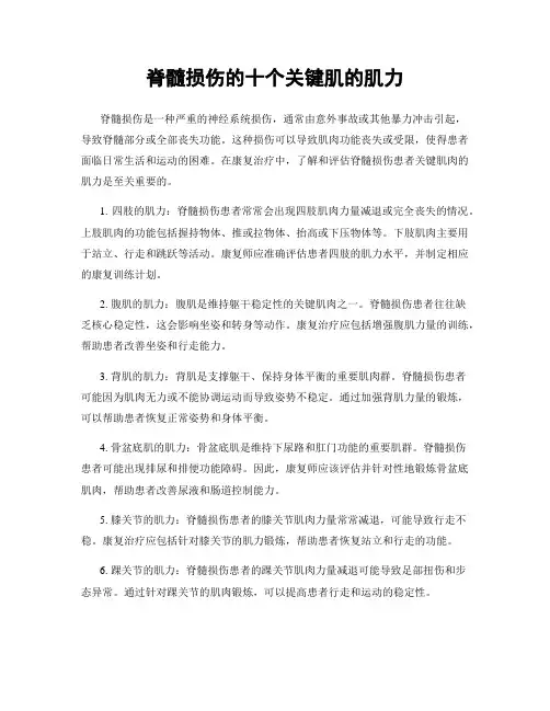 脊髓损伤的十个关键肌的肌力