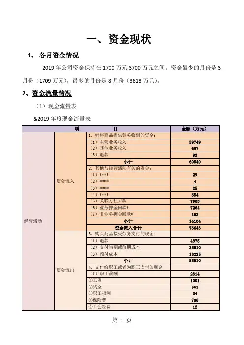 财务报告-2019年度资金报告word精品文档10页