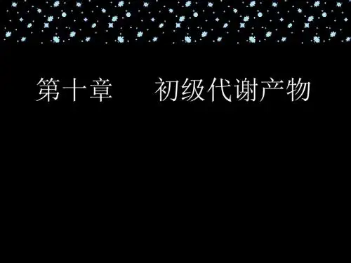 氨基酸生产工艺 ppt课件