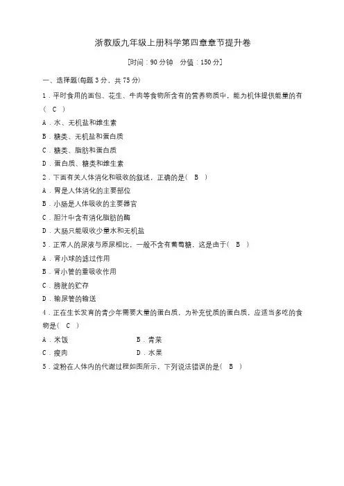 浙教版九年级上册科学第四章章节提升卷及答案