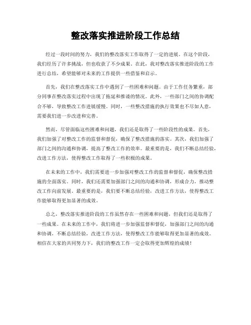整改落实推进阶段工作总结