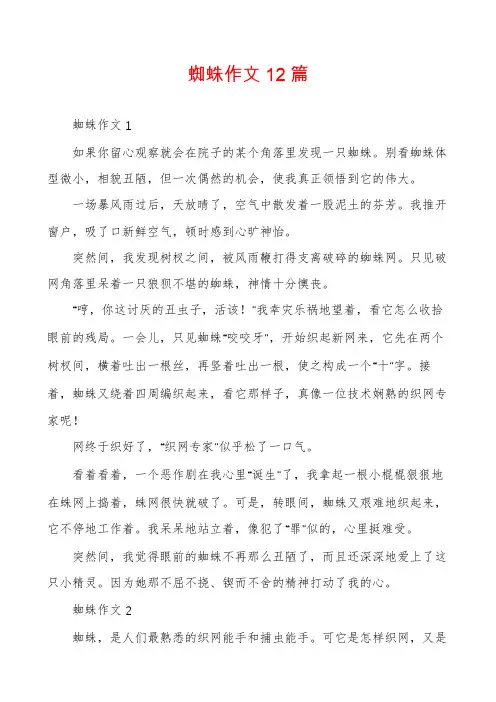 蜘蛛作文12篇