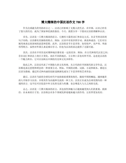 博大精深的中国汉语作文700字