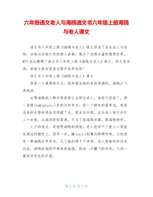 六年级语文老人与海鸥语文书六年级上册海鸥与老人课文