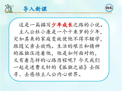 九年级语文上册(统编版)第17课《孤独之旅》课件