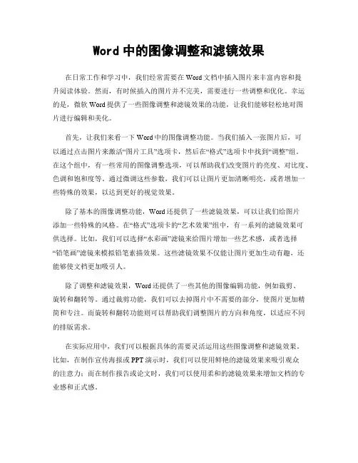 Word中的图像调整和滤镜效果