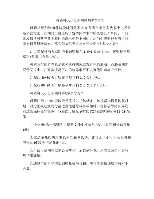 母猪每天该怎么喂料喂多少才好