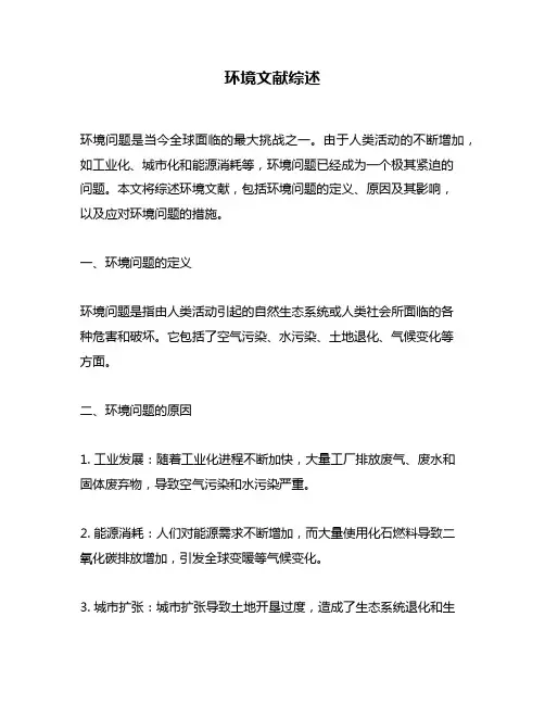 环境文献综述