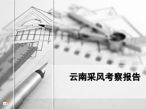 云南采风考察报告