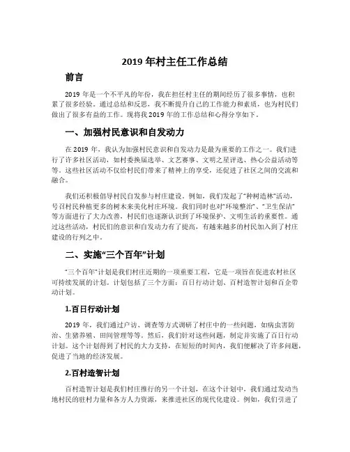 2019年村主任工作总结