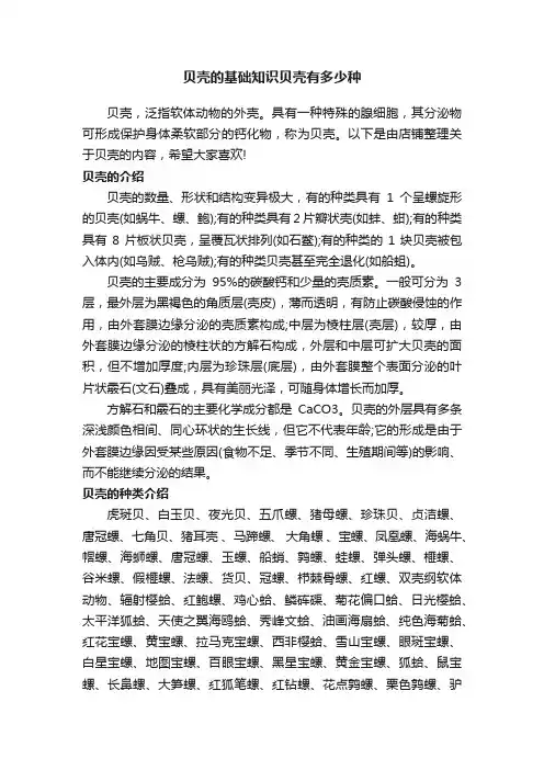 贝壳的基础知识贝壳有多少种