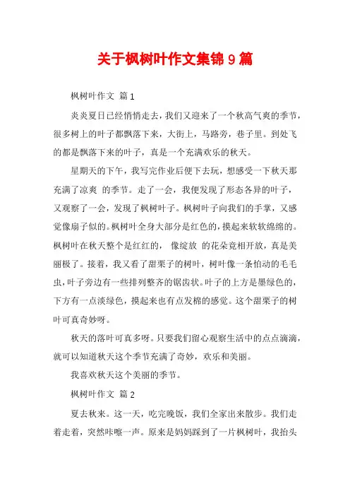 关于枫树叶作文集锦9篇
