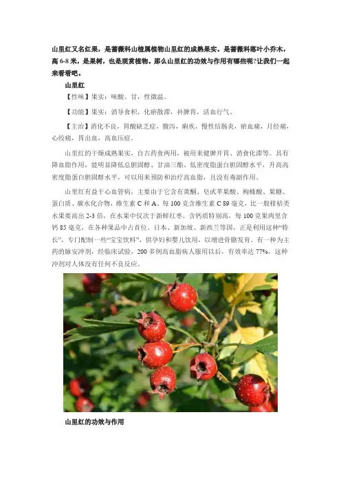 山里红的功效