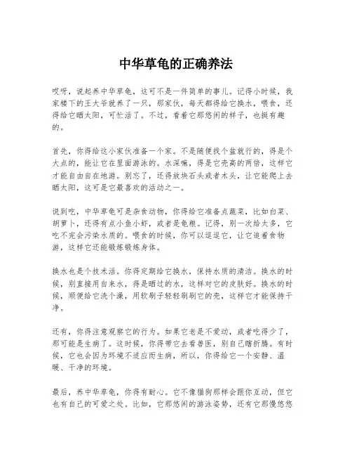中华草龟的正确养法