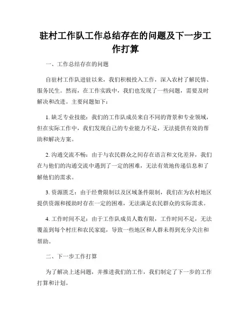 驻村工作队工作总结存在的问题及下一步工作打算