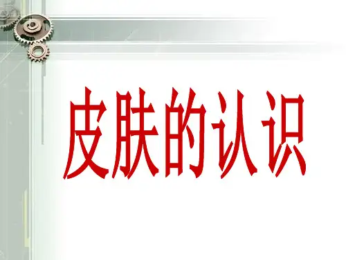 皮肤生理基础知识
