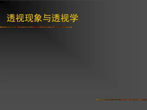 透视