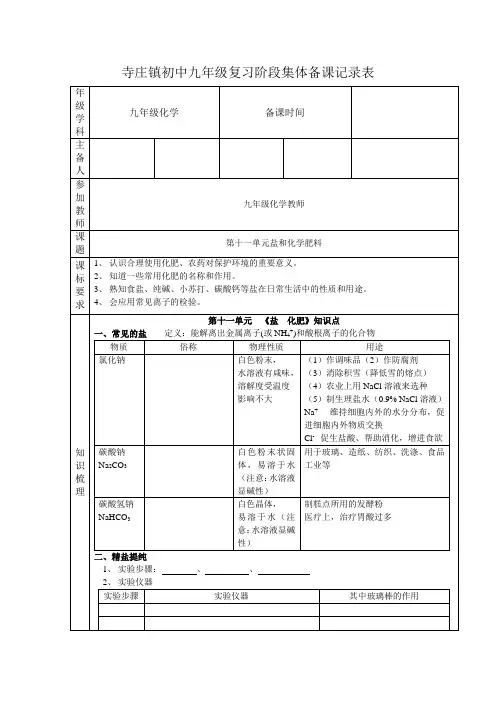 九年级化学第十一单元复习学案
