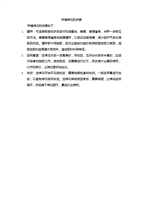 种植棉花的步骤