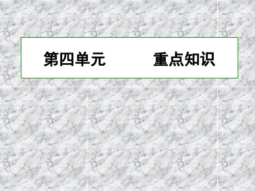 高中政治人教版必修4《生活与哲学》第四单元重点知识