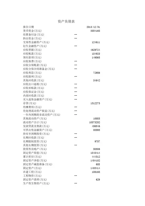 格力电器2013年度财务报表