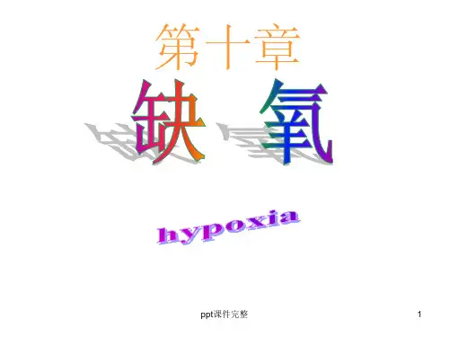 病理 缺氧ppt课件