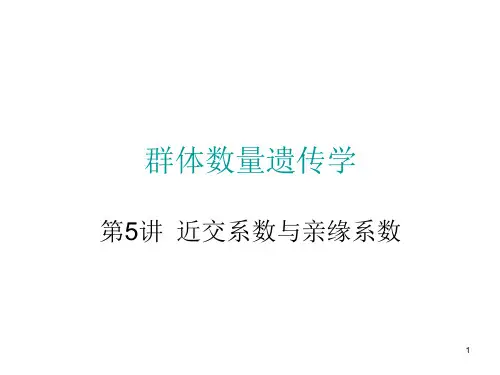 第5讲-近交系数与亲缘系数-群体与数量遗传学-教课件