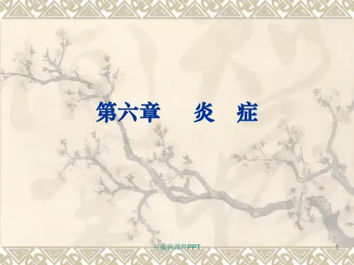 病理学第四章 炎症ppt课件