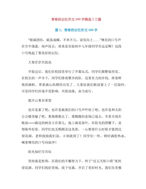 青春的记忆作文600字精选2三篇