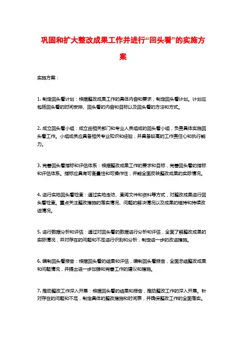 巩固和扩大整改成果工作并进行“回头看”的实施方案