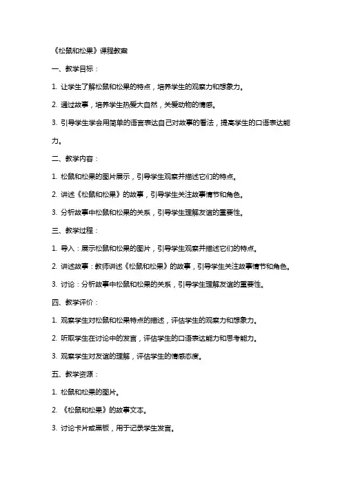《松鼠和松果》课程教案