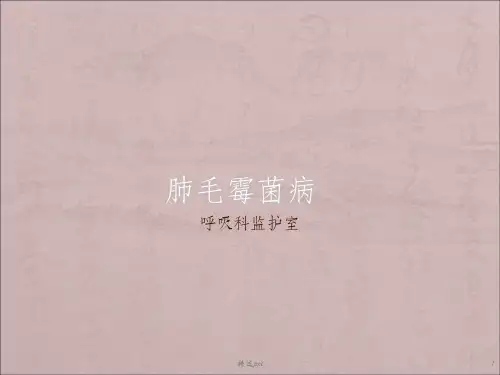 肺毛霉菌病