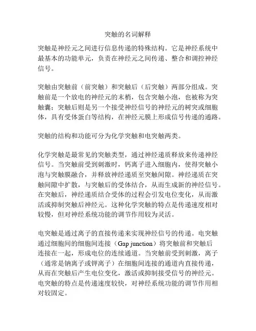 突触的名词解释