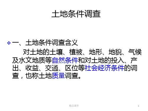 六 土地分等定级PPT课件