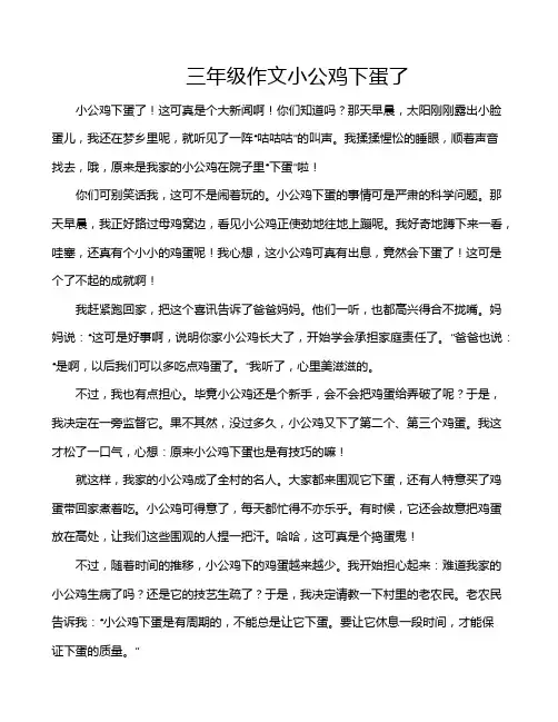 三年级作文小公鸡下蛋了