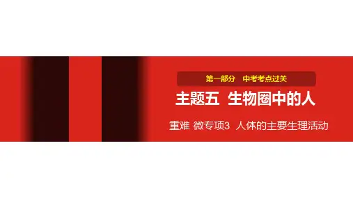 初中生物中考复习 主题五 重难 微专项3 人体的主要生理活动