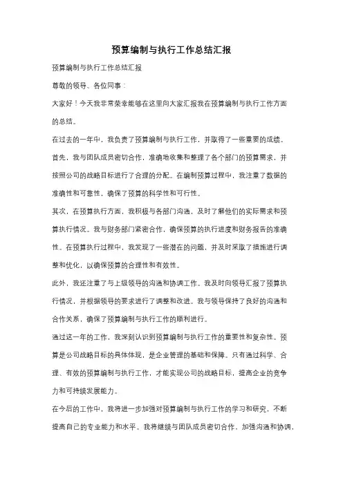 预算编制与执行工作总结汇报