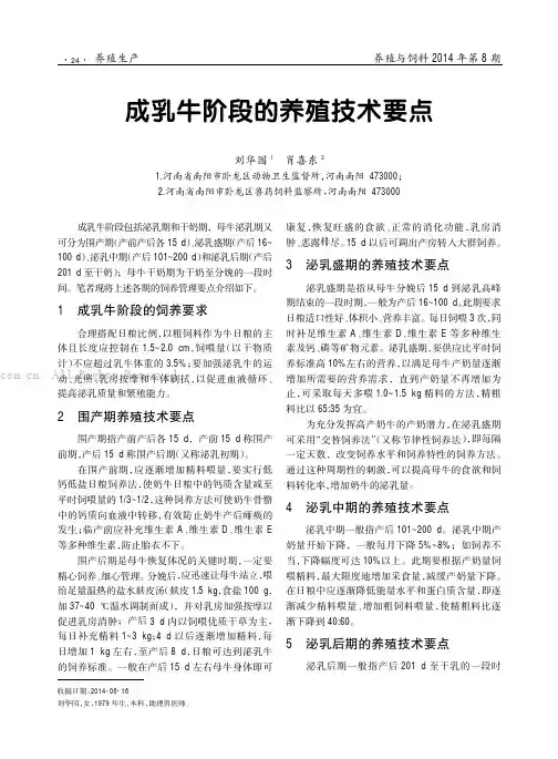 成乳牛阶段的养殖技术要点