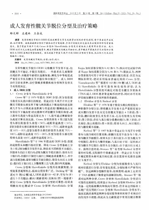 成人发育性髋关节脱位分型及治疗策略