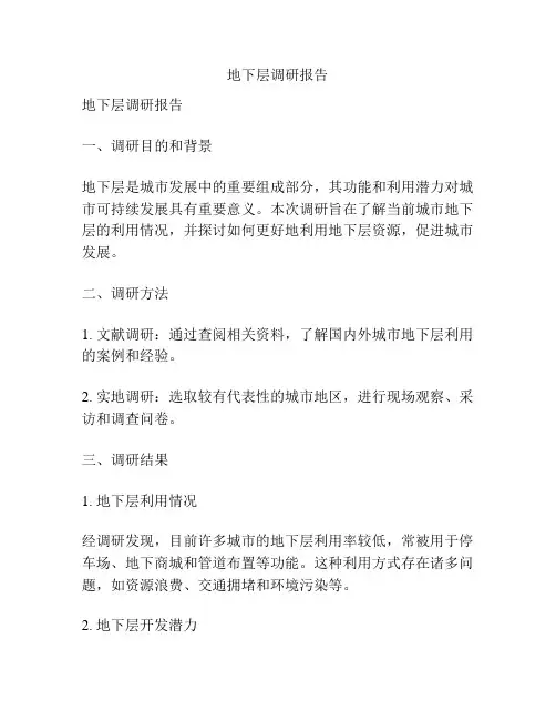 地下层调研报告