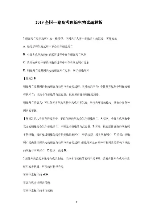 2019年高考全国1卷生物试题答案解析