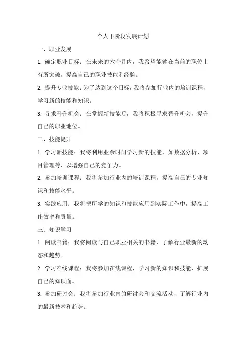 个人下阶段发展计划