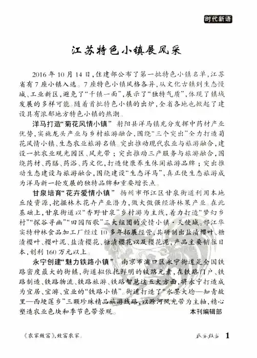 江苏特色小镇展风采