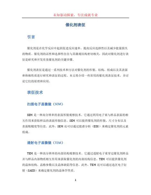 催化剂表征[001]