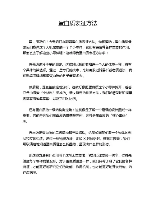 蛋白质表征方法